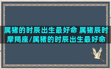 属猪的时辰出生最好命 属猪辰时摩羯座/属猪的时辰出生最好命 属猪辰时摩羯座-我的网站